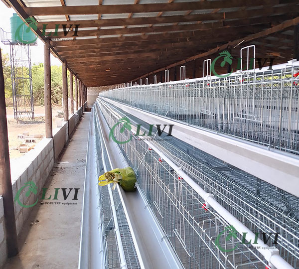 Best Price A-type 128 Birds Layer Chicken Cages for Poultry Farms