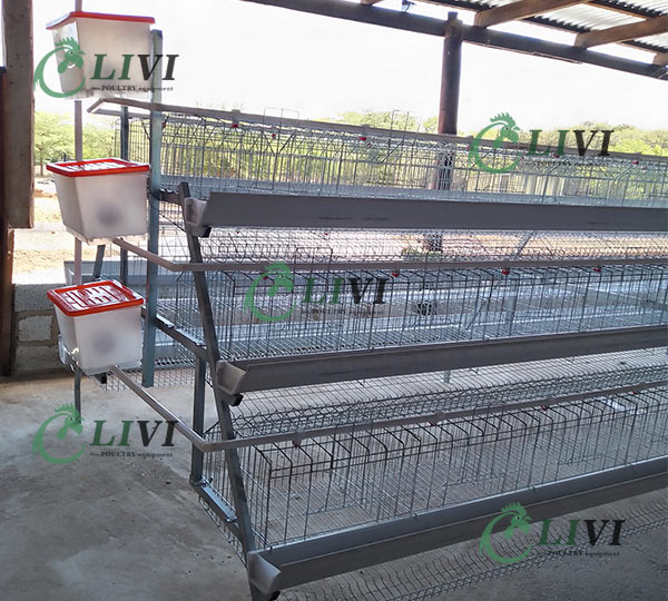 Best Price A-type 128 Birds Layer Chicken Cages for Poultry Farms in Zambia