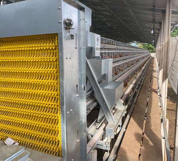 10,000-Chicken Layer Cage Poultry Farm In The Philippines