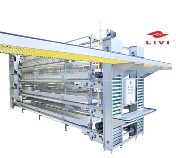 Automatic-H-Type-Layer-Battery-Cages