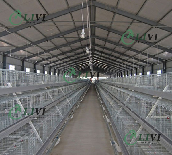 4-Tier Chicken Battery Layer Cages for Sale in Nigeria
