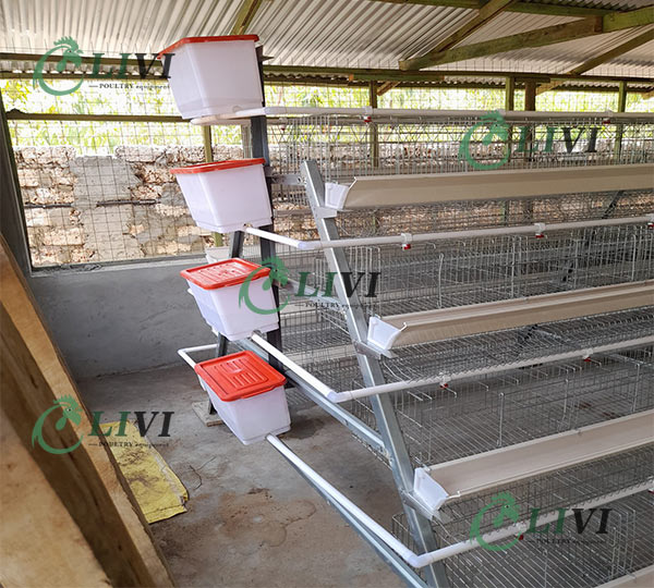 Type A 4 Tiers Battery Egg Laying Chicken Cages