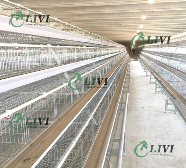 Hot Sale Poultry Farm A Type Full Automatic Egg Chickens Poultry Farm Layer Battery Cage Nigeria