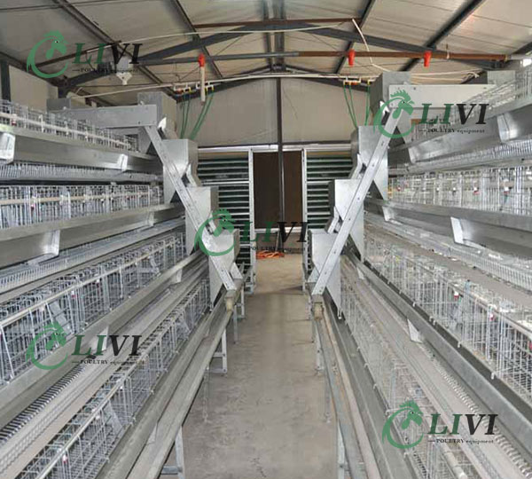 battery cage system in poultry price