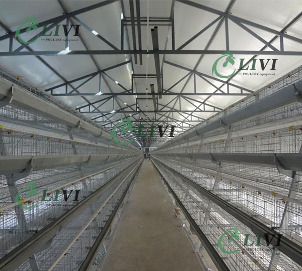 Hot Sale 15000 Capacity A Type Galvanized Automatic Egg Layer Chicken Cage