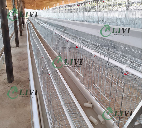 Best Price A-type 128 Birds Layer Chicken Cages for Poultry Farms in Zambia