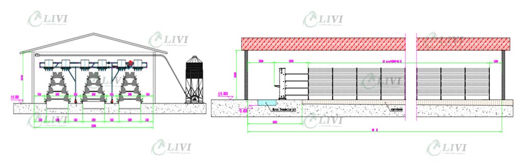 Poultry Farming Solutions for 20,000 Layers Chicken Farming