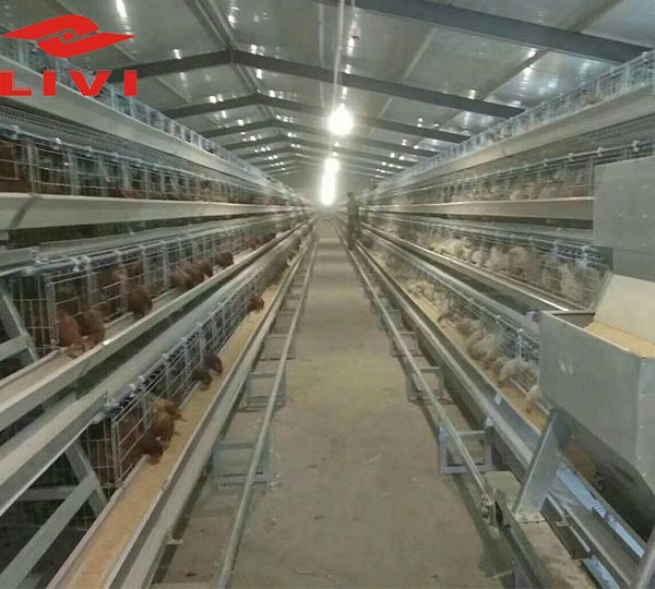 Type-A-4-tier-Poultry-Farm-Layer-Chicken-Cages